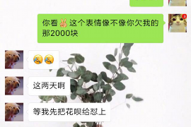 巩留企业清欠服务